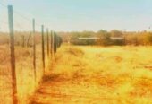 Plot for Sale Francistown sekukwe 2 hectares