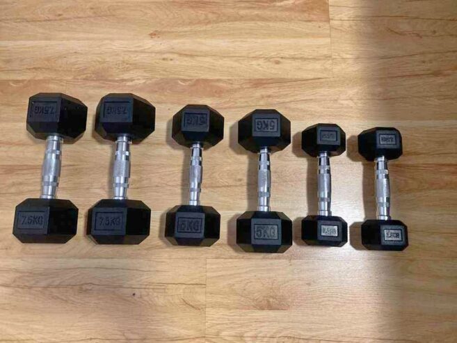 new dumbells