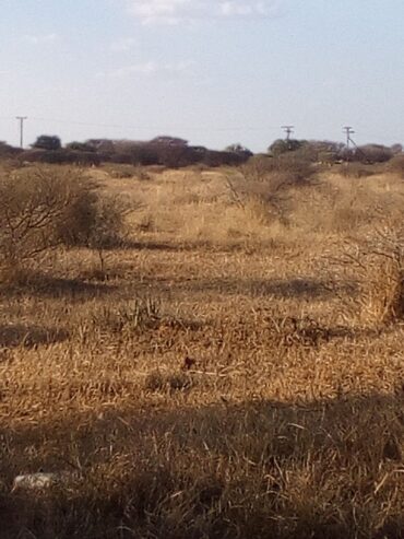 FARM FOR SALE- Oodi Mmatshipa (near Phakalane) 10hectares