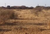 FARM FOR SALE- Oodi Mmatshipa (near Phakalane) 10hectares