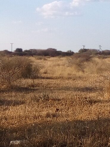 FARM FOR SALE- Oodi Mmatshipa (near Phakalane) 10hectares