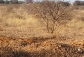 FARM FOR SALE- Oodi Mmatshipa (near Phakalane) 10hectares