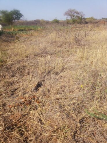 FARM FOR SALE- Oodi Mmatshipa (near Phakalane) 10hectares