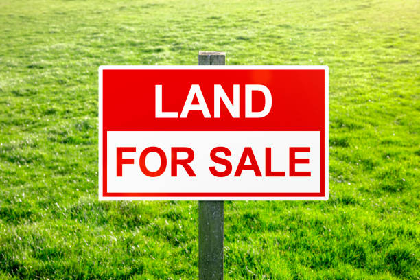 Plot for sale at Tsamaya P150k negotiation