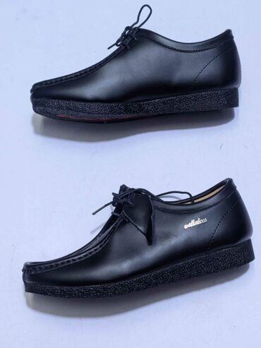 men shoe